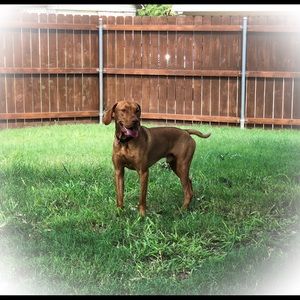 Meet your Posher, Dana